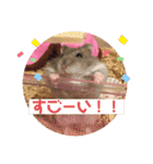 気まぐれねねこのスタンプ♡2（個別スタンプ：24）