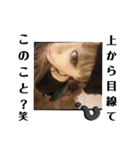 自分大好き❤（個別スタンプ：23）