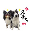 メープル＆ビリー 2（個別スタンプ：3）