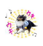 メープル＆ビリー 2（個別スタンプ：10）