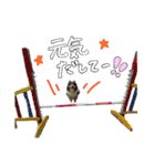 メープル＆ビリー 2（個別スタンプ：23）