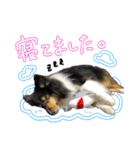 メープル＆ビリー 2（個別スタンプ：32）
