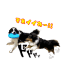メープル＆ビリー 2（個別スタンプ：36）
