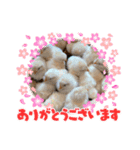どうぶつたちのつぶやきってこんな感じ？（個別スタンプ：5）