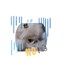 花ペキ✢なつめ（個別スタンプ：1）