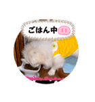 花ペキ✢なつめ（個別スタンプ：5）