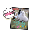 花ペキ✢なつめ（個別スタンプ：8）