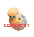恋人、友達、家族に送ってやれ！！（個別スタンプ：3）
