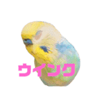 恋人、友達、家族に送ってやれ！！（個別スタンプ：4）