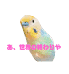 恋人、友達、家族に送ってやれ！！（個別スタンプ：5）