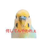 恋人、友達、家族に送ってやれ！！（個別スタンプ：6）