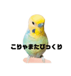 恋人、友達、家族に送ってやれ！！（個別スタンプ：9）