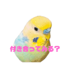 恋人、友達、家族に送ってやれ！！（個別スタンプ：10）
