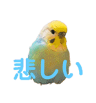 恋人、友達、家族に送ってやれ！！（個別スタンプ：11）