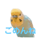 恋人、友達、家族に送ってやれ！！（個別スタンプ：12）