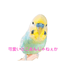 恋人、友達、家族に送ってやれ！！（個別スタンプ：14）