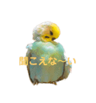 恋人、友達、家族に送ってやれ！！（個別スタンプ：16）