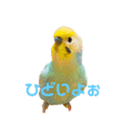 恋人、友達、家族に送ってやれ！！（個別スタンプ：18）