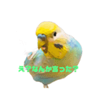 恋人、友達、家族に送ってやれ！！（個別スタンプ：19）
