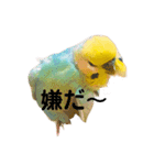 恋人、友達、家族に送ってやれ！！（個別スタンプ：20）