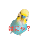 恋人、友達、家族に送ってやれ！！（個別スタンプ：21）