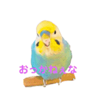 恋人、友達、家族に送ってやれ！！（個別スタンプ：22）