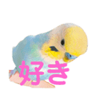 恋人、友達、家族に送ってやれ！！（個別スタンプ：23）