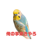 恋人、友達、家族に送ってやれ！！（個別スタンプ：24）