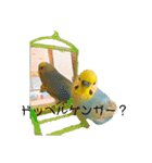 恋人、友達、家族に送ってやれ！！（個別スタンプ：25）