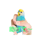 恋人、友達、家族に送ってやれ！！（個別スタンプ：27）
