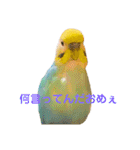 恋人、友達、家族に送ってやれ！！（個別スタンプ：30）