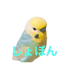 恋人、友達、家族に送ってやれ！！（個別スタンプ：32）