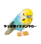 恋人、友達、家族に送ってやれ！！（個別スタンプ：33）