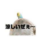 恋人、友達、家族に送ってやれ！！（個別スタンプ：34）