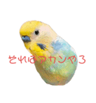 恋人、友達、家族に送ってやれ！！（個別スタンプ：36）