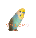 恋人、友達、家族に送ってやれ！！（個別スタンプ：38）