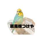 恋人、友達、家族に送ってやれ！！（個別スタンプ：39）