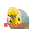 恋人、友達、家族に送ってやれ！！（個別スタンプ：40）