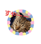 むぎちゃンネル（個別スタンプ：5）