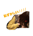 ロジェ（個別スタンプ：15）