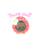 かめとうぱこ（個別スタンプ：2）