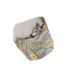 トッピー（個別スタンプ：4）