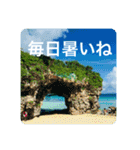 OKINAWAの景色と花②（個別スタンプ：1）