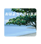 OKINAWAの景色と花②（個別スタンプ：4）
