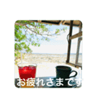 OKINAWAの景色と花②（個別スタンプ：5）