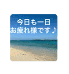 OKINAWAの景色と花②（個別スタンプ：6）