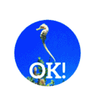 OKINAWAの景色と花②（個別スタンプ：9）