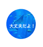 OKINAWAの景色と花②（個別スタンプ：11）