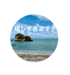 OKINAWAの景色と花②（個別スタンプ：13）
