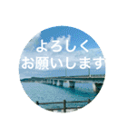 OKINAWAの景色と花②（個別スタンプ：14）